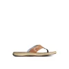 Sperry Sandals^Baitfish Flip Flops LightBrown