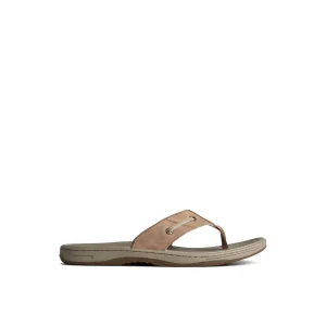 Sperry Sandals^Baitfish Leather Flip Flop MediumBeige