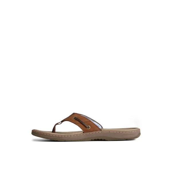 baitfish_leather_flip_flo_1.webp Sperry Sandals^Baitfish Leather Flip Flop BrownLeatherMixedMaterial