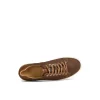 Sperry Shoes | Sneakers^Gold Cup™ Striper LTT Sneaker Brown