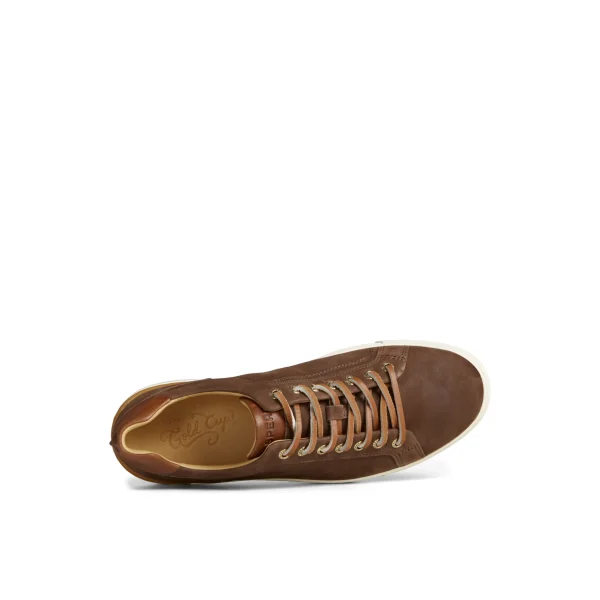 Sperry Shoes | Sneakers^Gold Cup™ Striper LTT Sneaker Brown