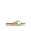 havasu_perf_flip_flop_0.webp Sperry Sandals^Havasu Perf Flip Flop BrownLeatherMixedMaterial