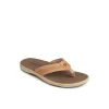 havasu_perf_flip_flop_2.webp Sperry Sandals^Havasu Perf Flip Flop BrownLeatherMixedMaterial