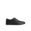 Sperry Shoes | Loafers & Oxfords^Newman Oxford Dress Shoe Black