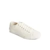 racquet_oxford_sneaker_2-4.webp Sperry Shoes | Sneakers^Racquet Oxford Sneaker White