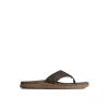 santa_cruz_ii_thong_sanda_0.webp Sperry Sandals^Santa Cruz II Thong Sandal Brown
