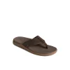 santa_cruz_ii_thong_sanda_2.webp Sperry Sandals^Santa Cruz II Thong Sandal Brown