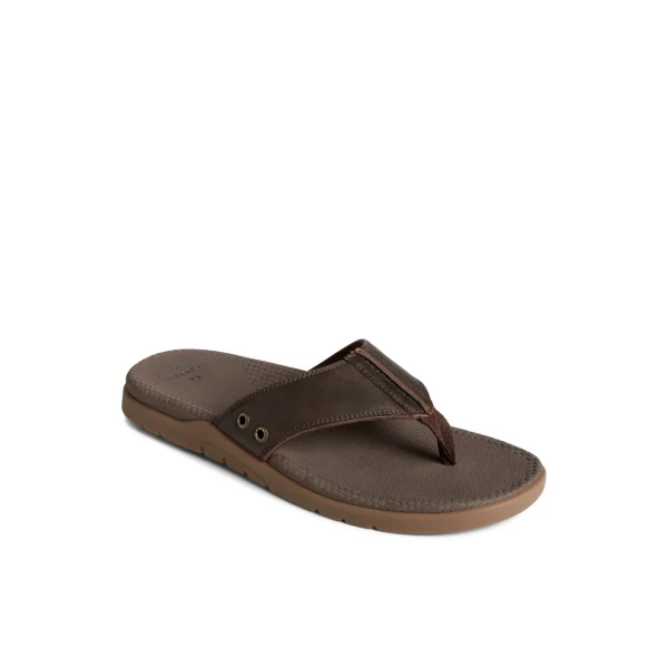 santa_cruz_ii_thong_sanda_2.webp Sperry Sandals^Santa Cruz II Thong Sandal Brown