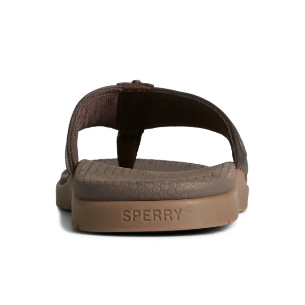 santa_cruz_ii_thong_sanda_3.webp Sperry Sandals^Santa Cruz II Thong Sandal Brown