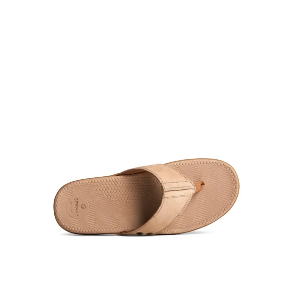 santa_cruz_ii_thong_sanda_4-1.webp Sperry Sandals^Santa Cruz II Thong Sandal MediumBeige