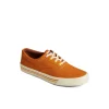 seacycled_striper_ii_cvo__2.webp Sperry Shoes | Sneakers^Seacycled™ Striper II CVO Sneaker Brown