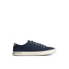 Sperry Shoes | Sneakers^SeaCycled™ Striper II Textile Sneaker Navy