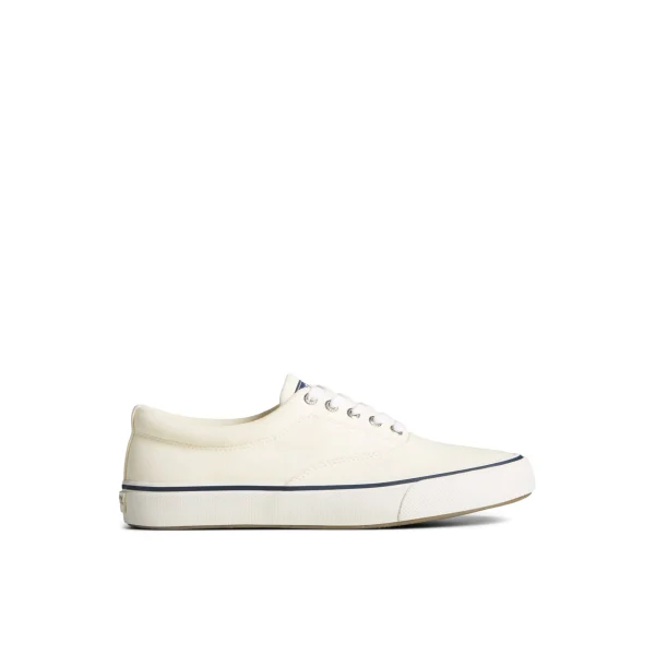 striper_ii_canvas_cvo_sne_0.webp Sperry Shoes | Sneakers^Striper II Canvas CVO Sneaker White