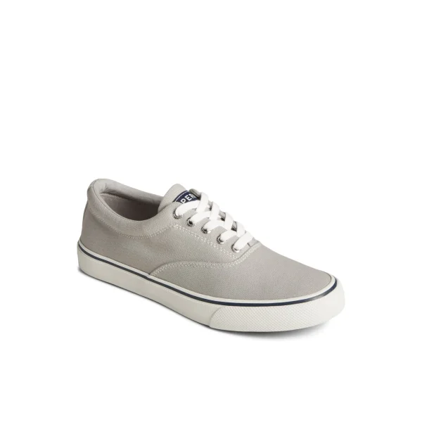striper_ii_canvas_cvo_sne_2-1.webp Sperry Shoes | Sneakers^Striper II Canvas CVO Sneaker Grey