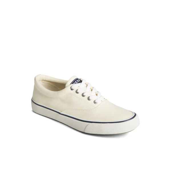 striper_ii_canvas_cvo_sne_2.webp Sperry Shoes | Sneakers^Striper II Canvas CVO Sneaker White