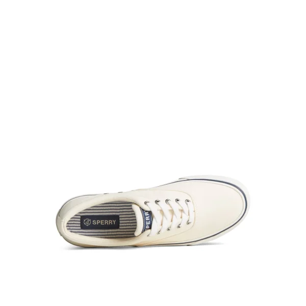 striper_ii_canvas_cvo_sne_4.webp Sperry Shoes | Sneakers^Striper II Canvas CVO Sneaker White