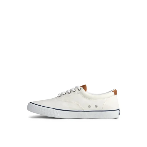striper_ii_cvo_sneaker_1.webp Sperry Shoes | Sneakers^Striper II CVO Sneaker White