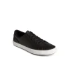 striper_ii_llt_leather_sn_2.webp Sperry Shoes | Sneakers^Striper II LLT Leather Sneaker Black