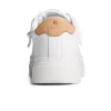 Sperry Shoes | Sneakers^Winslow Leather Sneaker White